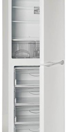 ATLANT ХМ 6023-502
