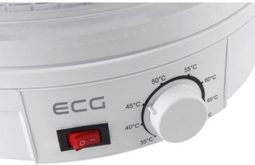 ECG ECG SO 375
