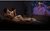 Xiaomi Smart Projector L1 (BHR9417EU)