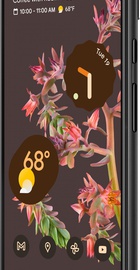 Google Pixel 6 8/128GB Stormy Black