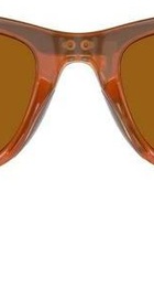Ray-Ban Meta Wayfarer Large - Shiny Caramel/Polarized Brown (RW4008 670683 53-22)
