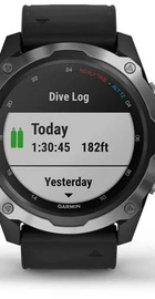 Garmin Descent Mk2 Stainless Steel with Black Band (010-02132-00)