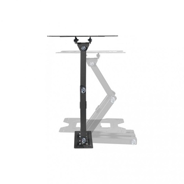 KIVI Motion-223
