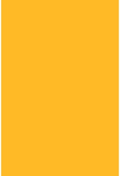 Savage Widetone Deep Yellow 2.72m x 11m