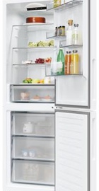 Candy ECN2CQTEW186