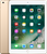 Apple iPad 2017 Wi-Fi 128GB Gold (MPGW2)