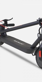 Proove X-City Lite Black/Red
