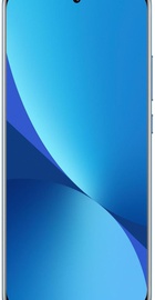 Xiaomi 12 12/256GB Blue (China)