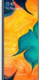 Samsung Galaxy A30 2019 SM-A305F 3/32GB White (SM-A305FZWU)