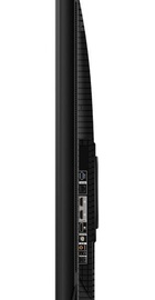 TCL 55P8K