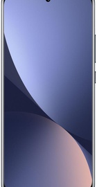 Xiaomi 12 12/256GB Gray (China)