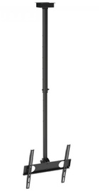 iTech CELB 44R