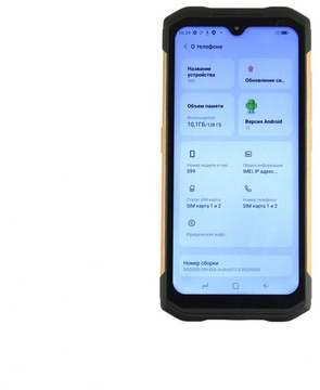 DOOGEE S99 8/128GB Gold