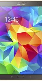 Samsung Galaxy Tab S 8.4 16GB Titanium Bronze (SM-T700NTSASEK) UA UCRF