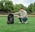 Dreame Roboticmower A2