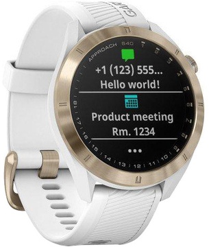 Garmin APPROACH S40 (010-02140-02)