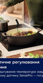 Electrolux EIS8959