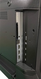 Avalon B50MQA800