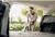 Karcher WD 4 V-20/5/22 (1.628-201.0)