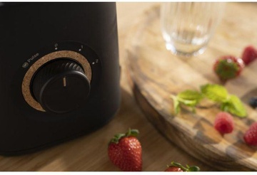 Tefal BL46EN38