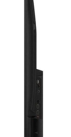 TCL 50V5C