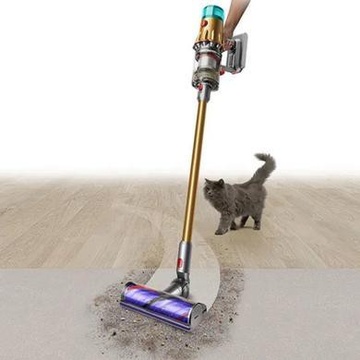 Dyson V12 Detect Slim Absolute (448870-01)