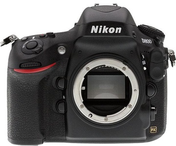 Nikon D800 body