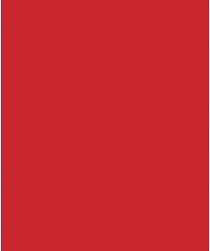 Savage Widetone Primary Red 1.36m x 11m