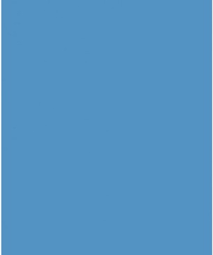 Savage Widetone Regal Blue 2.72m x 11m