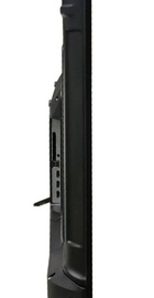 Avalon B50MQA800