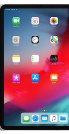 Apple iPad Pro 11-inch Wi-Fi + Cellular 64GB Silver (MU0Y2)