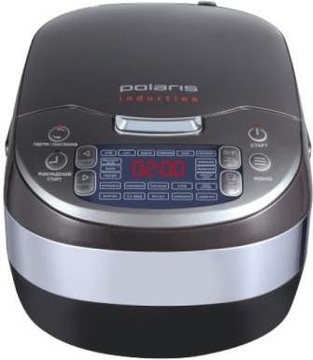 Polaris PMC 4003IH Graphite