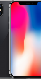 Apple iPhone X 64GB Space Gray (MQAC2)