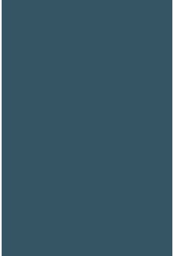 Savage Widetone Ultramarine 2.72m x 11m