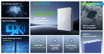 Dyness PowerHaus LiFePO4 51,2V 100Ah 5120Wh