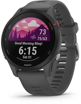 Garmin Forerunner 255 Slate Gray (010-02641-00/10)