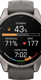 Garmin Fenix 9 43mm Titanium with Pebble Gray Silicone Band (010-04761-10/11)