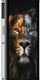 Oukitel WP17 8/128GB Black