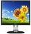 Philips 19P4QYEB/00 Black