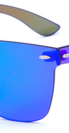 20/20 Brand Vintage Sunglasses Flat Lens Blue Revo (model 1601)