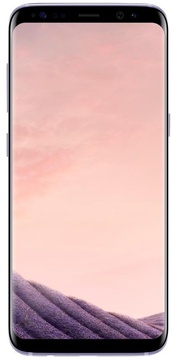 Samsung Galaxy S8 64Gb (SM-G950FZVDSEK) Orchid Gray (UA UCRF)