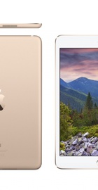Apple iPad mini 4 Wi-Fi+LTE 64GB Gold (MK8C2, MK752)