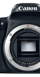 Canon EOS 77D body