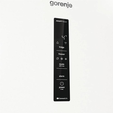 Gorenje NRB620E61W4WFE