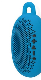 Boom Urchin Blue
