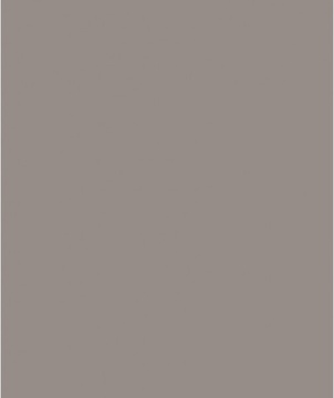 Savage Widetone Storm Gray 2.72m x 11m