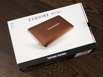 Harman/Kardon Esquire Mini Brown