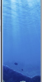 Samsung Galaxy S8 Plus 64Gb G955FD Coral Blue
