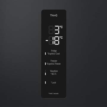 LG GC-B509FTZW