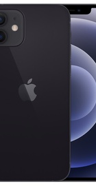 Apple iPhone 12 256GB Black (MGJG3/MGHH3)